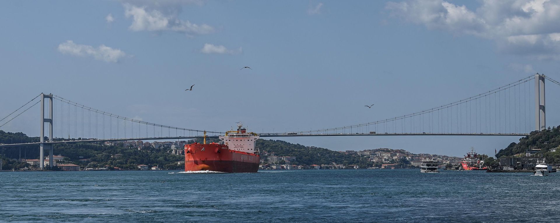 A commercial vessel sails under the 15 July Martyrs Bridge, aka the Bosphorus Bridge, on the Bosphorus strait on July 23, 2021 in Istanbul. A commercial vessel sails under the 15 July Martyrs Bridge, aka the Bosphorus Bridge, on the Bosphorus strait on July 23, 2021 in Istanbul. - Sputnik International, 1920, 27.03.2022