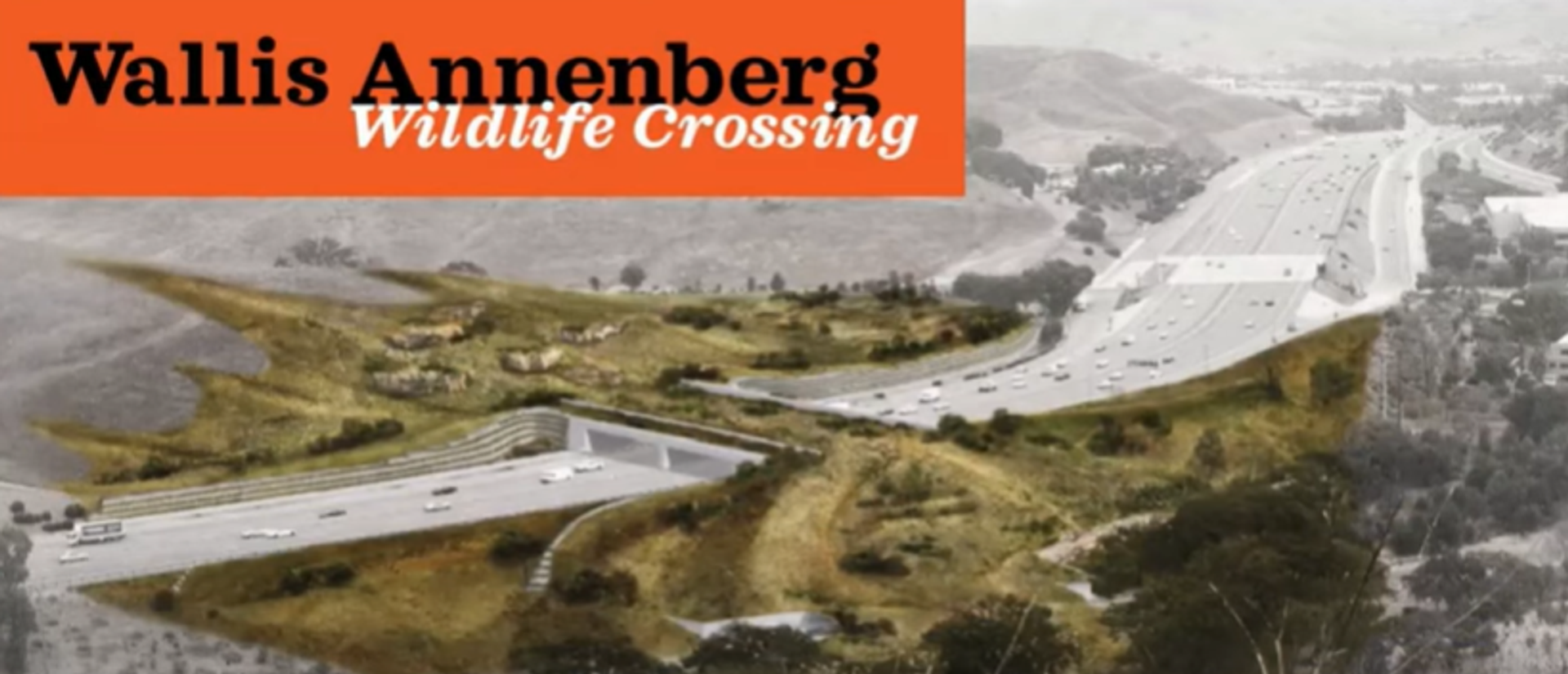 Massive wildlife crossing to break ground on Earth Day - Sputnik International, 1920, 26.03.2022