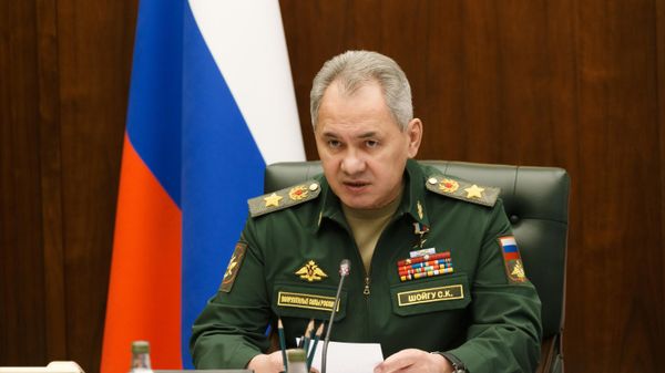 Russian Defence Minister Sergei Shoigu  - Sputnik International
