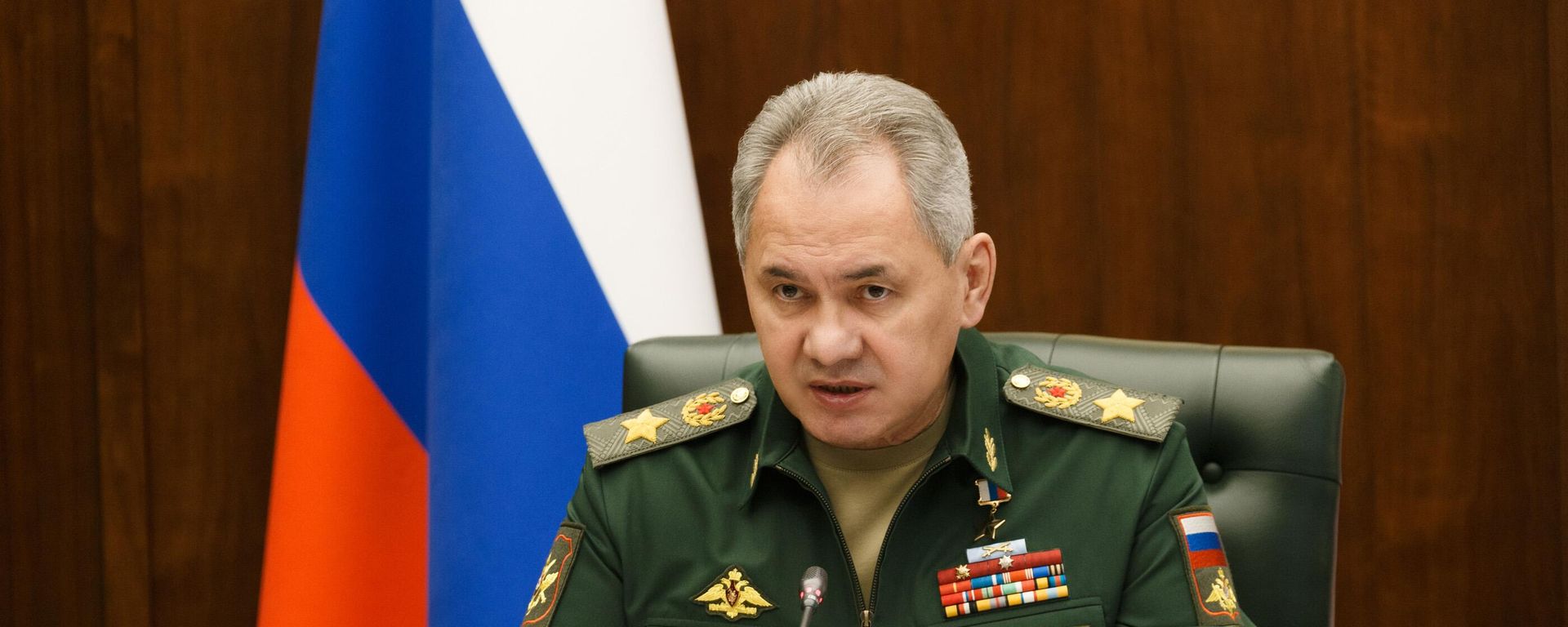 Russian Defence Minister Sergei Shoigu Russian Defence Minister Sergei Shoigu - Sputnik International, 1920, 09.11.2022
