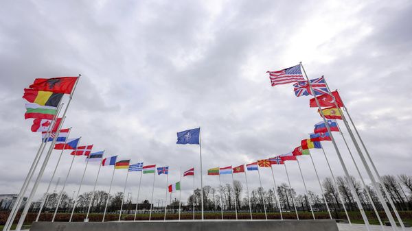 Flags of NATO member countries flap in the wind outside NATO headquarters in Brussels, Feb. 22, 2022.  - Sputnik International