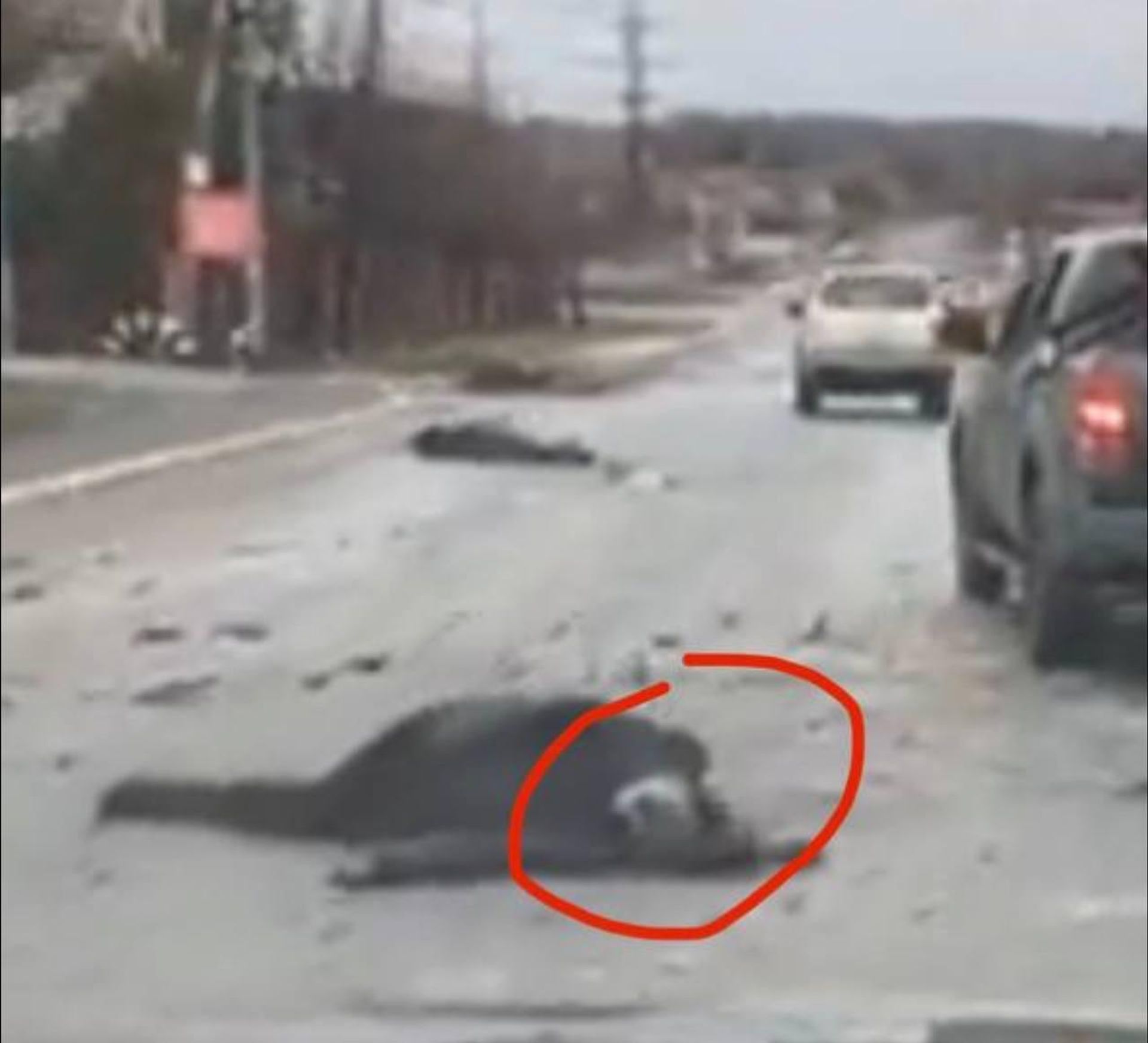A screenshot from a video from the Ukrainian city of Bucha showing a body with a white bandage - Sputnik International, 1920, 03.04.2022