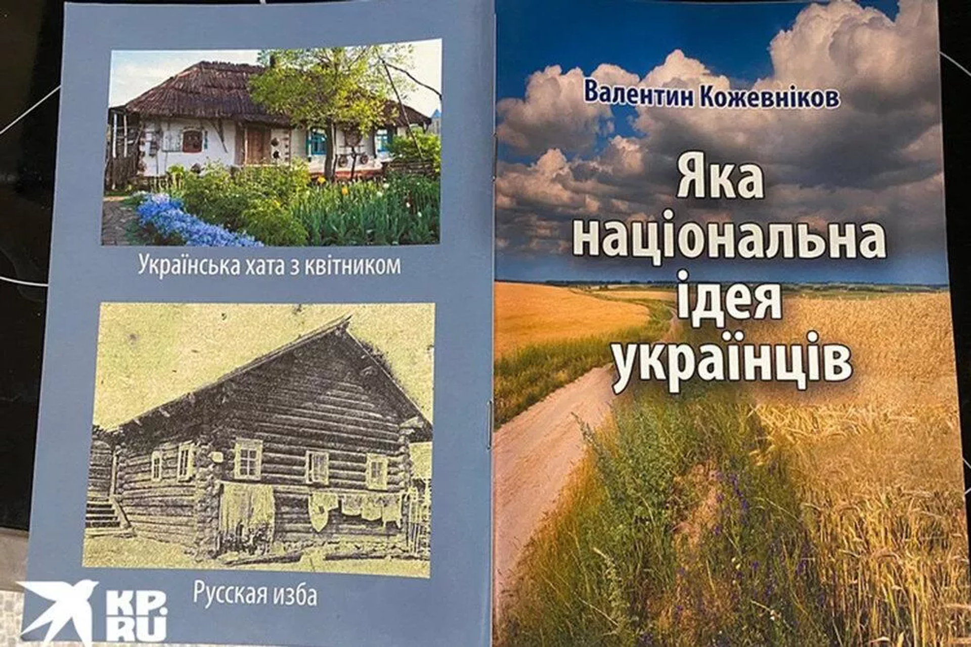 ‘What is the National Idea of the Ukrainians’ brochure, by Valentin Kozhevnikov. ‘What is the National Idea of the Ukrainians’ brochure, by Valentin Kozhevnikov. - Sputnik International, 1920, 10.04.2022
