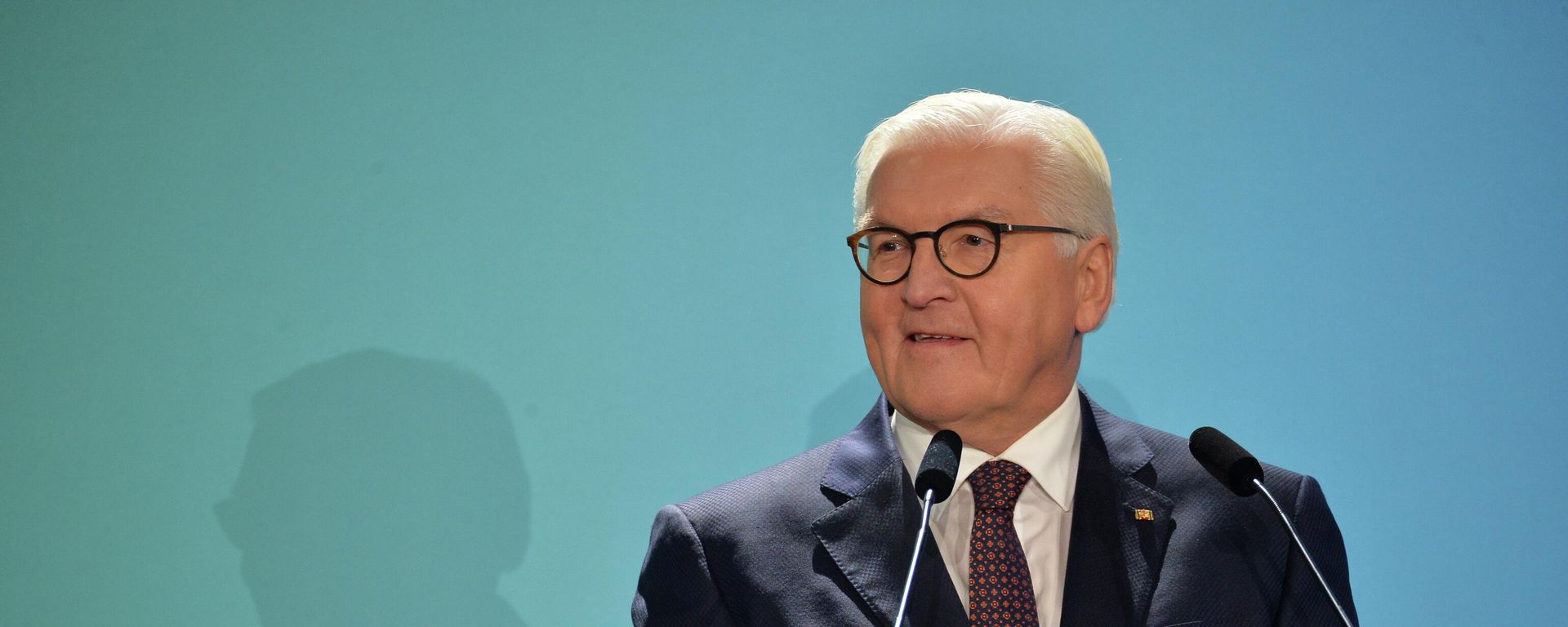 Then-German Foreign Minister Frank-Walter Steinmeier Then-German Foreign Minister Frank-Walter Steinmeier - Sputnik International, 1920, 07.11.2024