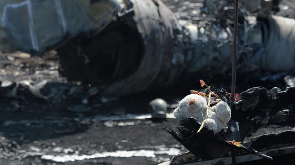 Plush bear at the crash site of Malaysia Airlines Boeing 777 near the village of Grabovo in Donetsk. July 2014. - Sputnik International