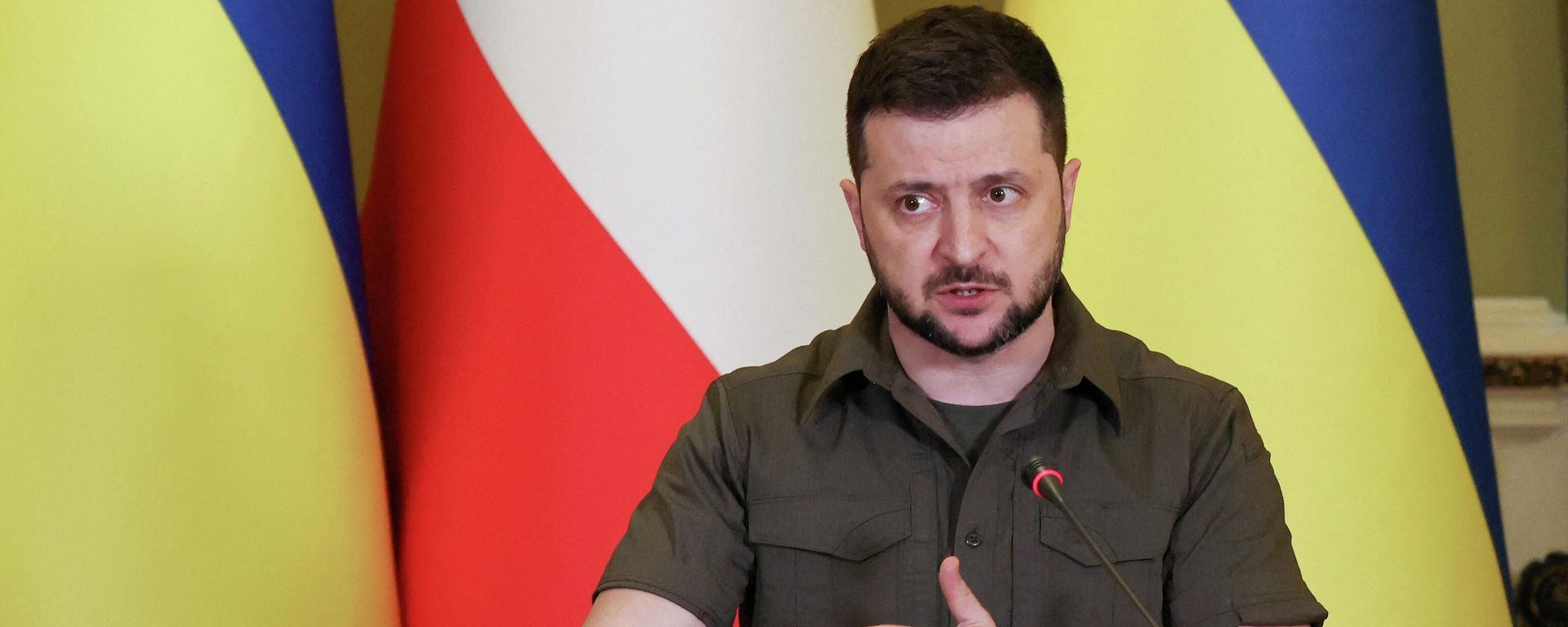 Ukraine's president Volodymyr Zelensky gestures as he attends a press conference with Austria's chancellor in Kiev, on 9 April, 2022.  - Sputnik International, 1920, 17.04.2022