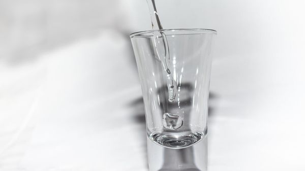 Vodka shot - Sputnik International