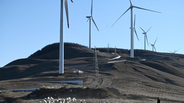 This photo taken on October 23, 2021 shows a farmer tending sheep near wind turbines at Caozhuangci village in Baoding in China's northern Hebei province. - China is the world's biggest producer of wind turbines and solar panels, and the Winter Olympics is seen as an opportunity to showcase the country’s green technologies as they seek global markets. (Photo by GREG BAKER / AFP)  - Sputnik International
