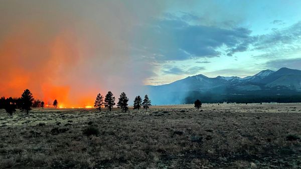 In this photo provided by the Coconino National Forest, the Tunnel Fire burns near Flagstaff, Ariz., on Tuesday, April 19, 2022. - Sputnik International