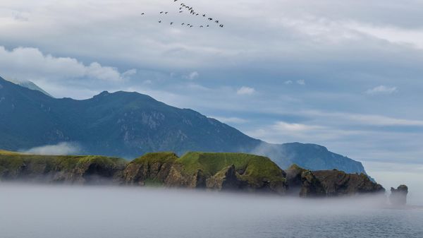Cape Tigrovy and Novokurilskaya Bay of Urup Island (island of the southern group of the Great Kuril Islands). - Sputnik International