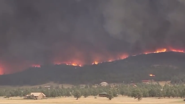 In the state of Arizona, New Mexico, Colorado, the strongest forest fires. USA - Sputnik International