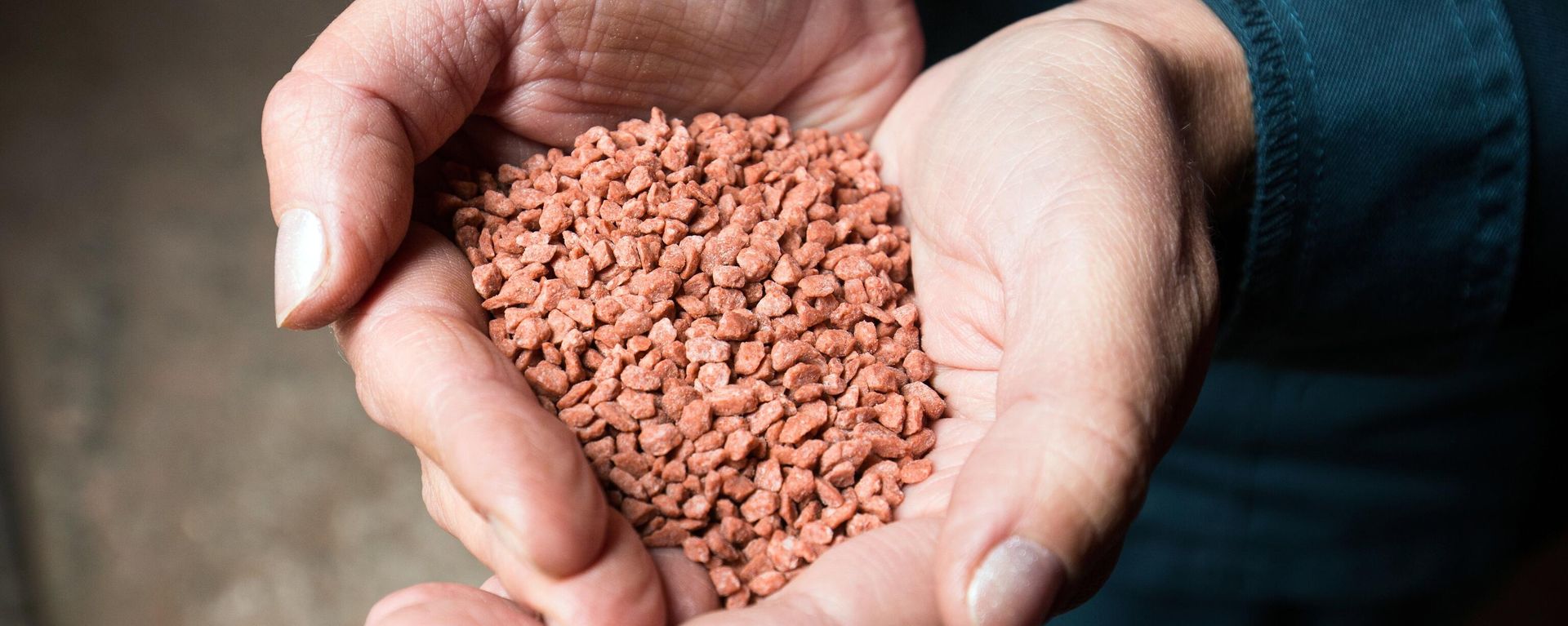 Granular potash fertilizer. File photo. Granular potash fertilizer. File photo. - Sputnik International, 1920, 03.06.2022