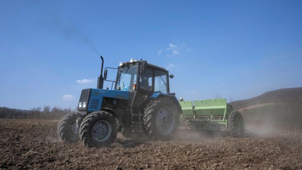 Workers plow wheat on the land belonging to Vasyl Pidhaniak, in Husakiv village, western Ukraine, Saturday, March 26, 2022 - Sputnik International