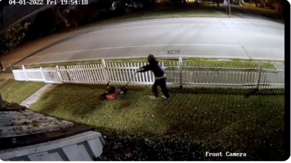 Texas man steals lawnmower, but not before mowing the victims lawn - Sputnik International