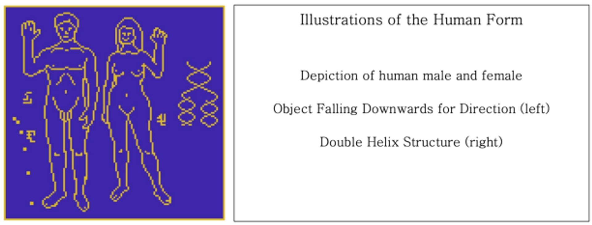 Depiction of humans and double helix, included in the planned message - Sputnik International, 1920, 09.05.2022