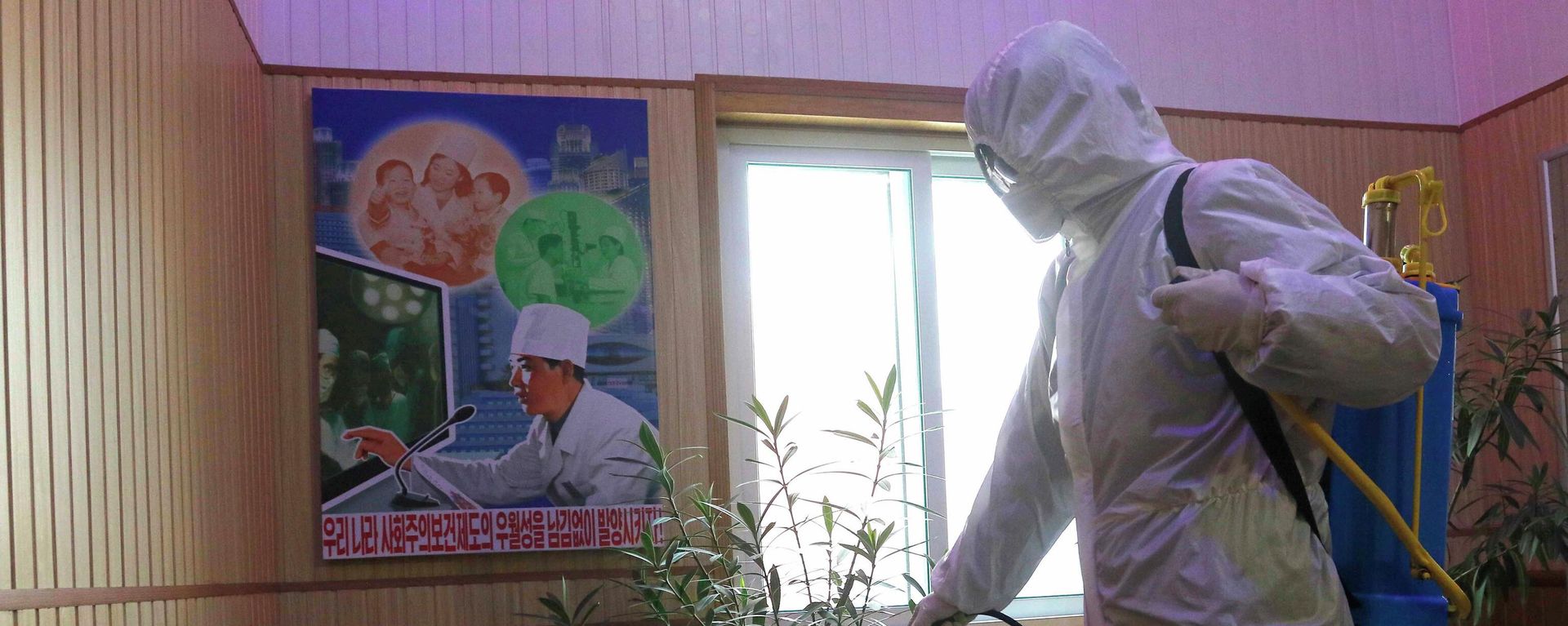 An official of the Hygienic and Anti-epidemic Center in Phyongchon District disinfect the corridor of a building in Pyongyang, North Korea, on Feb. 5, 2021. - Sputnik International, 1920, 12.05.2022