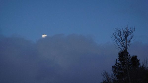 The Elusive Moon - Sputnik International
