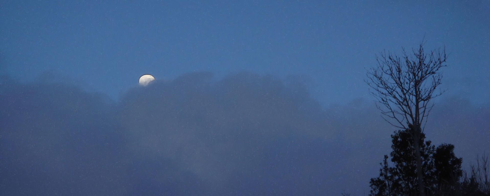 The Elusive Moon - Sputnik International, 1920, 14.05.2022