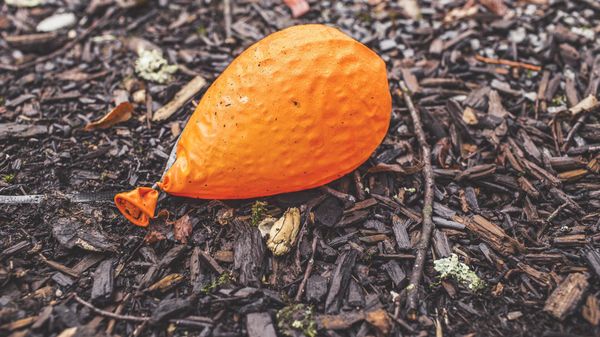 Deflated balloon - Sputnik International