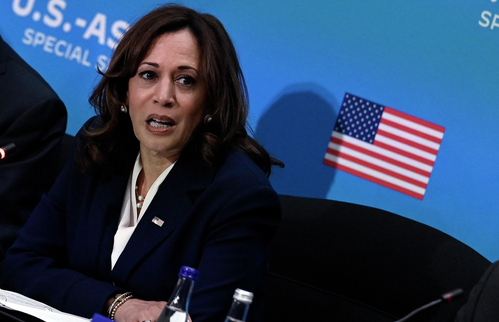 (FILES) In this file photo taken on May 13, 2022, US Vice President Kamala Harris speaks as she meets with the leaders of ASEAN countries, members of the Cabinet, and other Administration officials to discuss climate action, clean energy, and sustainable infrastructure, during the US-ASEAN Special Summit at the State Department in Washington, DC. (FILES) In this file photo taken on May 13, 2022, US Vice President Kamala Harris speaks as she meets with the leaders of ASEAN countries, members of the Cabinet, and other Administration officials to discuss climate action, clean energy, and sustainable infrastructure, during the US-ASEAN Special Summit at the State Department in Washington, DC. - Sputnik International, 1920, 31.05.2022