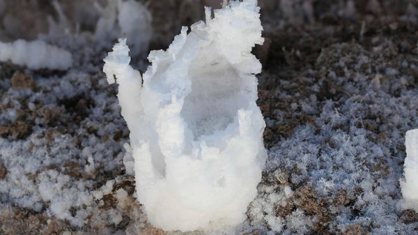 Halite (rock salt) Halite (rock salt) - Sputnik International