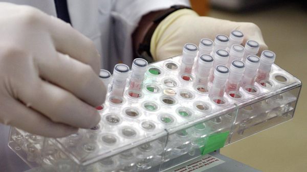 Dr. Danny G. Mead, an assistant research scientist in the College of Veterinary Medicine at the University of Georgia, works with vials containing mosquitoes, which were caught last week in Albany, Ga., in the Wildlife Health building on the university campus in Athens, Ga. on Wednesday, April 7, 2004 - Sputnik International