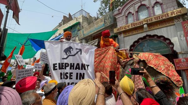 Navjot Singh Sidhu On Elephant - Sputnik International