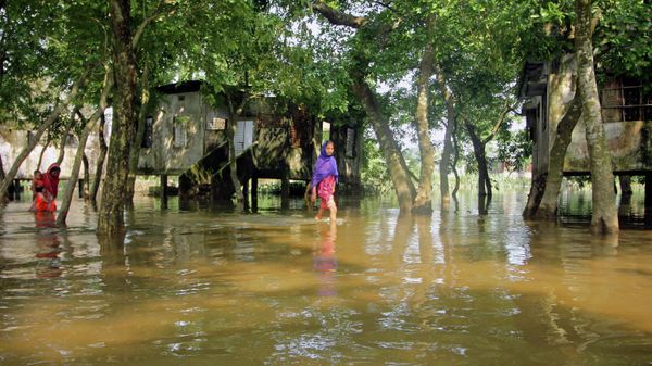 People wade through a flooded street following heavy rains in Companiganj on May 22, 2022 - Sputnik International