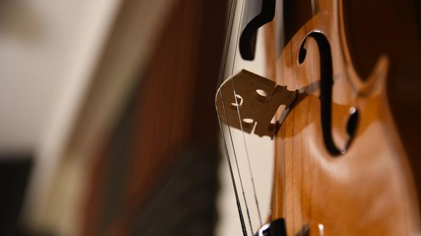 A violin - Sputnik International