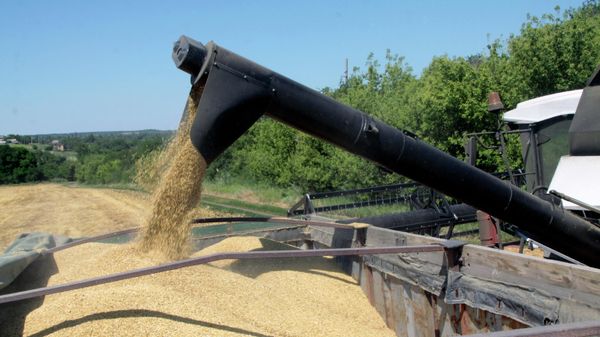 	Grain harvestig in Donetsl People's Republic - Sputnik International