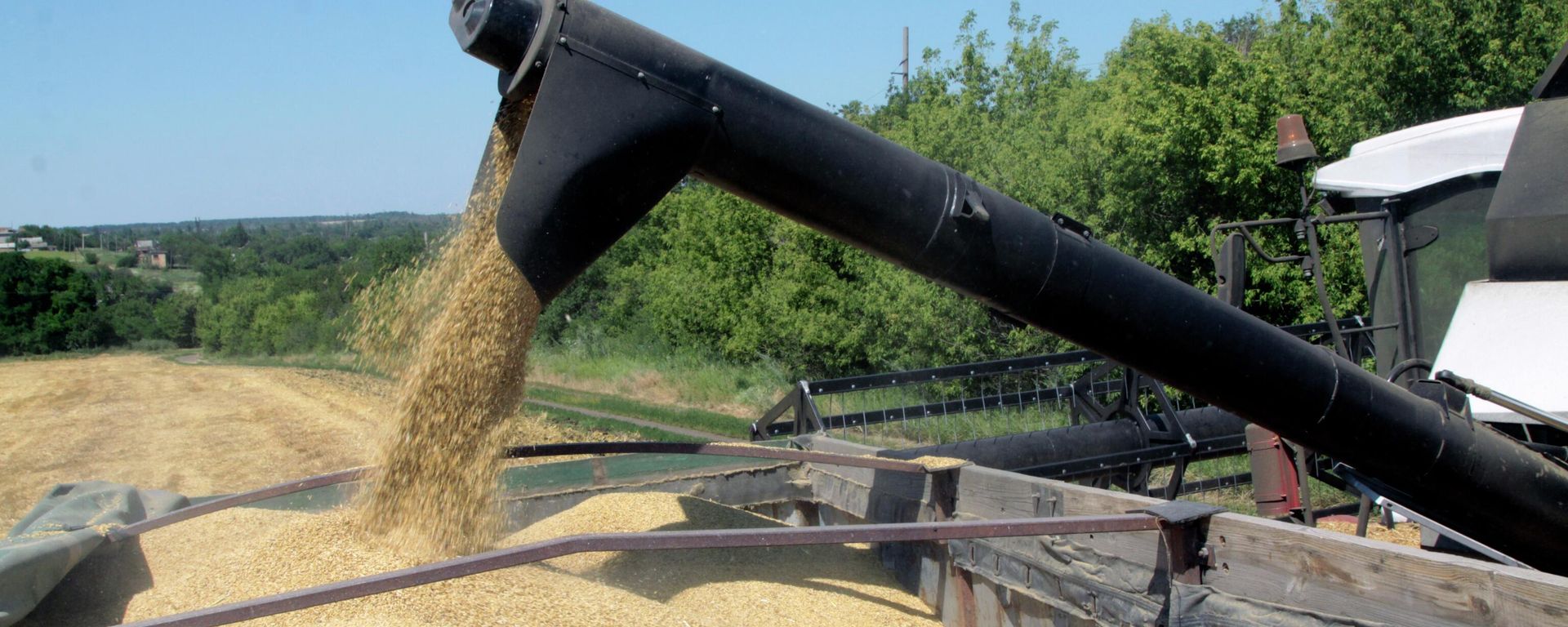 	Grain harvestig in Donetsk People's Republic - Sputnik International, 1920, 05.07.2022