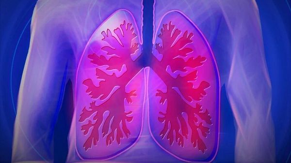 Lungs - Sputnik International