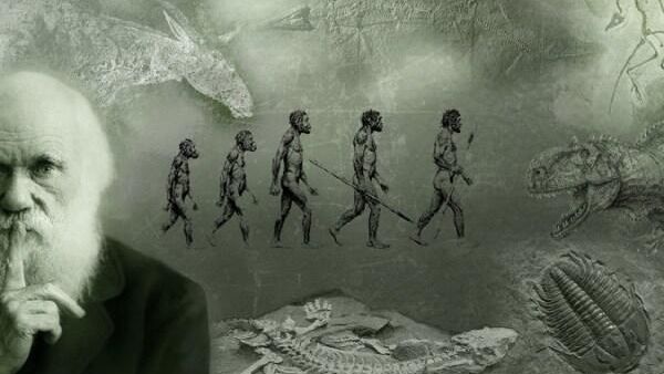  Darwinian evolution  - Sputnik International