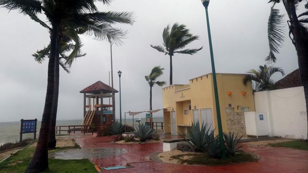 Palm trees blow in the wind before Hurricane Agatha makes landfall in Huatulco, Oaxaca State, Mexico on May 30, 2022 - Sputnik International