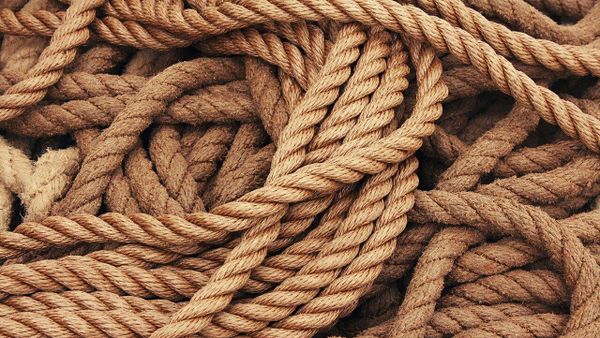 rope - Sputnik International