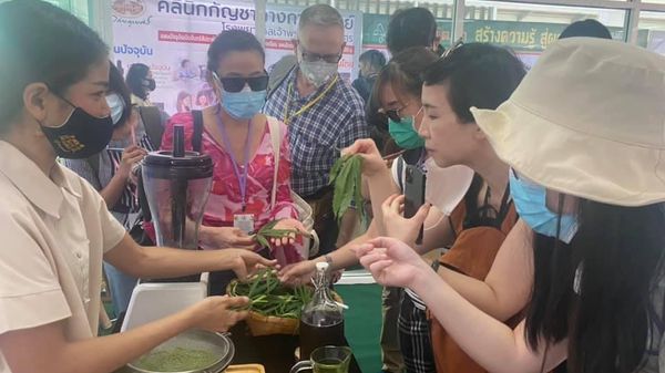 Thailand Legalises Marijuana Plantation - Sputnik International