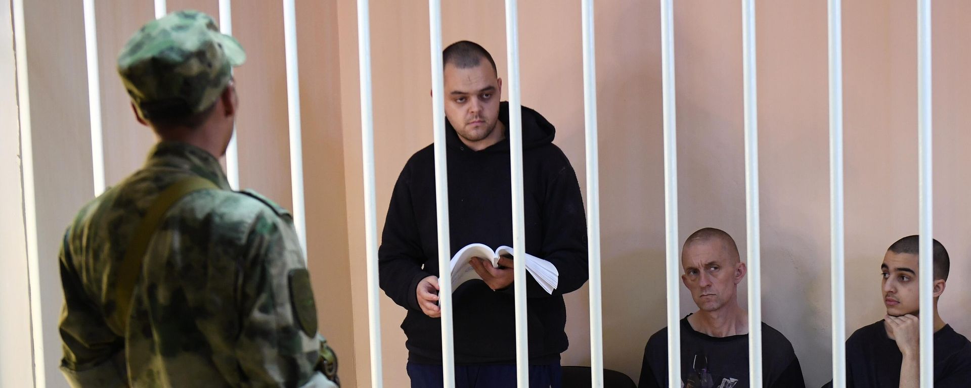 Foreign mercenaries Aiden Aslin, Shaun Pinner and Saadun Brahim sentenced to death in DPR Supreme Court - Sputnik International, 1920, 09.06.2022