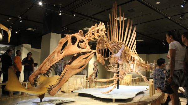 Spinosaurus - Sputnik International