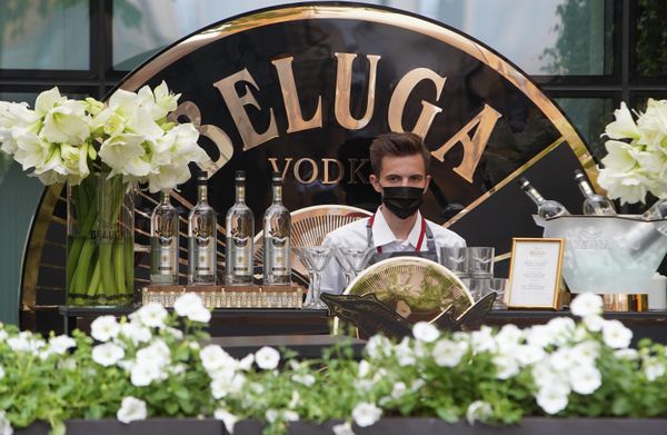 A participant stands at the stall of Beluga company at the St. Petersburg International Economic Forum (SPIEF) in Russia. - Sputnik International