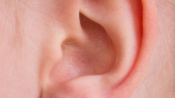 Human ear - Sputnik International