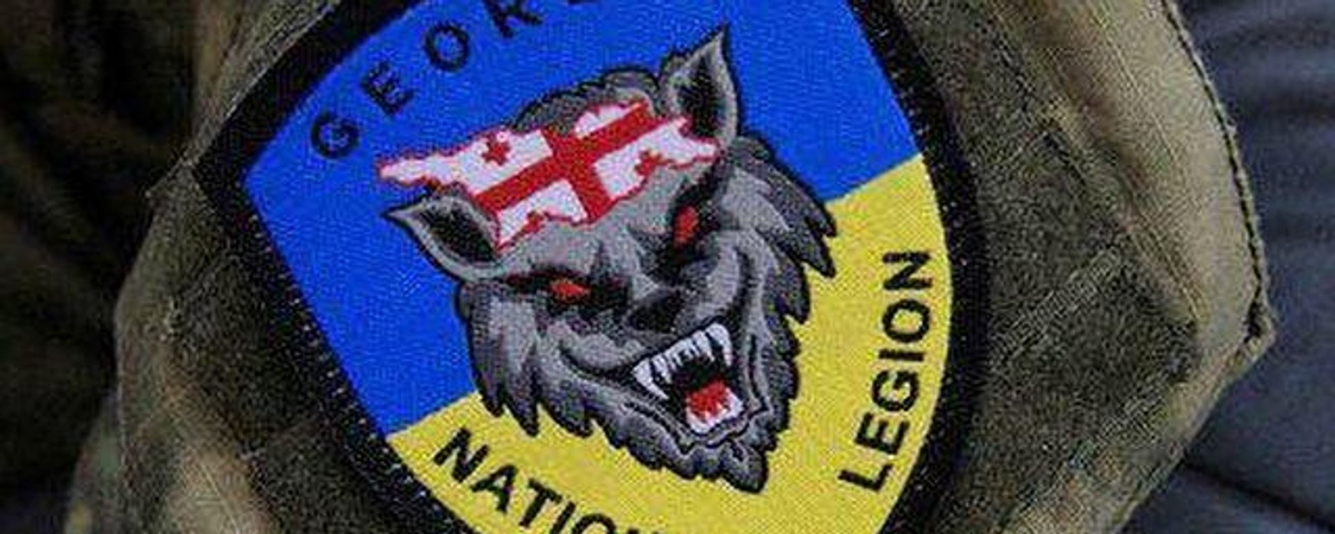 Georgian Legion Ukraine - Sputnik International, 1920, 27.06.2022