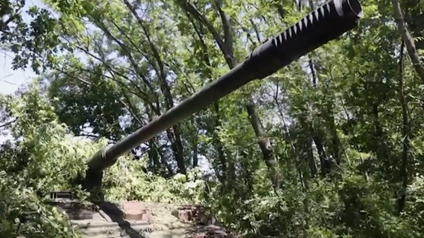 Panzerhaubitze 2000 hidden somewhere in a wooded area of Ukraine. Screengrab of Bild report. - Sputnik International