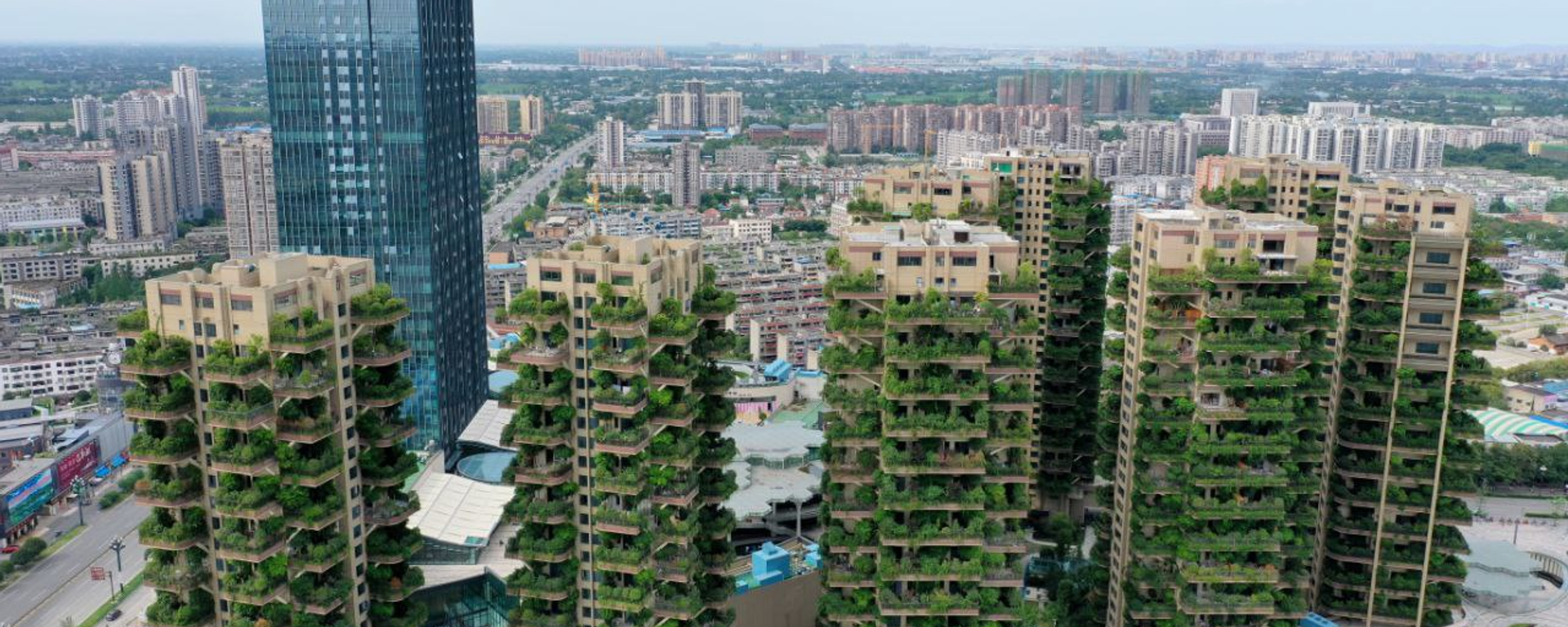 Qiyi City Forest Garden (Photos from a local resident) - Sputnik International, 1920, 02.07.2022
