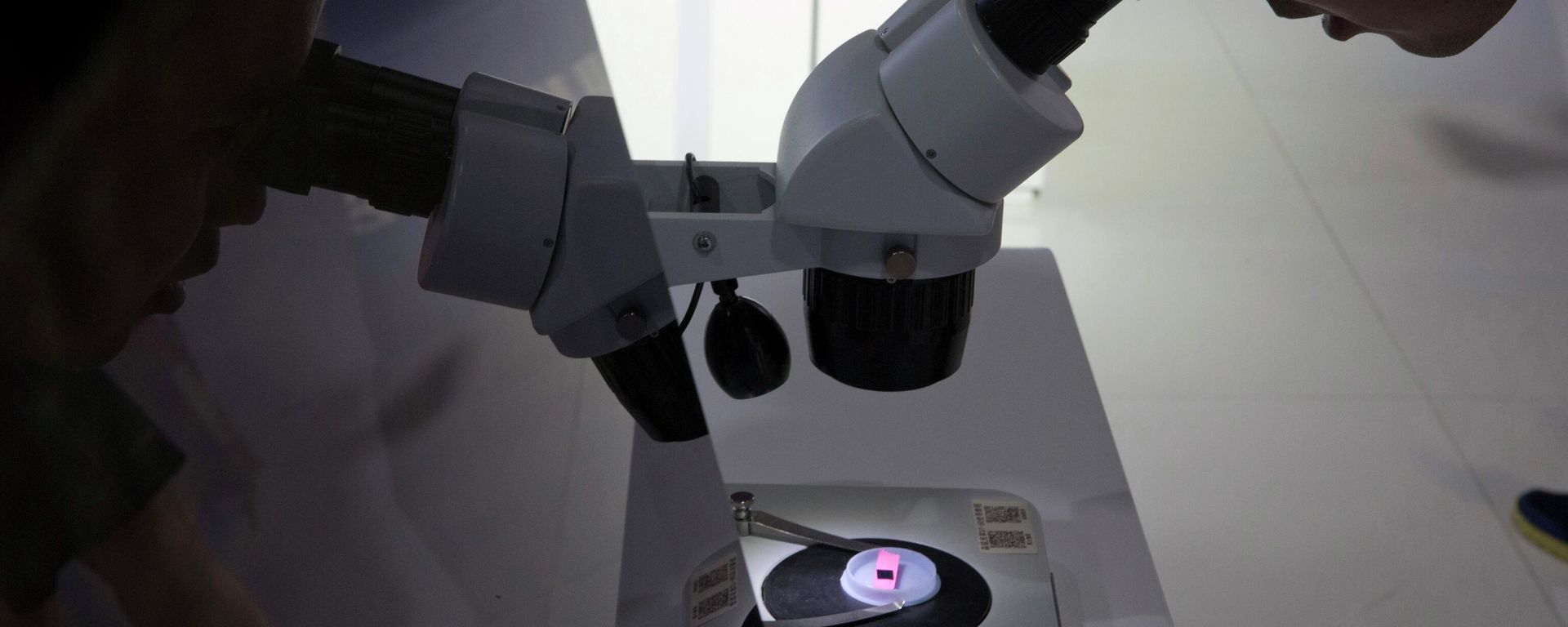 FILE - A visitor to the 21st China Beijing International High-tech Expo looks at a computer chip through the microscope displayed by the state-controlled Tsinghua Unigroup project which has emerged as a national champion for Beijing's semiconductor ambitions in Beijing, China on May 17, 2018 FILE - A visitor to the 21st China Beijing International High-tech Expo looks at a computer chip through the microscope displayed by the state-controlled Tsinghua Unigroup project which has emerged as a national champion for Beijing's semiconductor ambitions in Beijing, China on May 17, 2018 - Sputnik International, 1920, 16.08.2022