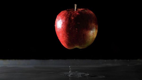  Newton's Apple levitation - Sputnik International