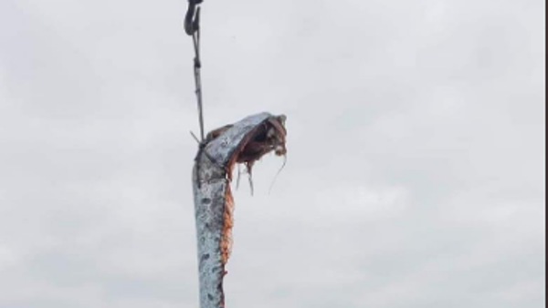 Giant oarfish - Sputnik International