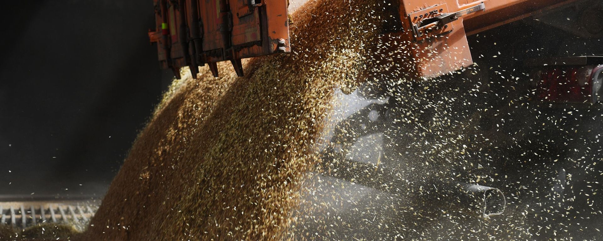 A truck unloads grain at JSC Melitopol elevator in Melitopol, Ukraine - Sputnik International, 1920, 25.07.2022