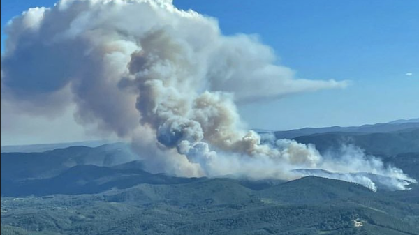 Wildfire France - Sputnik International