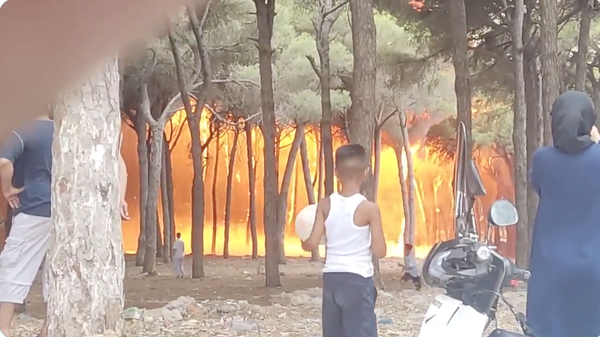 Morocco Wildfires  - Sputnik International