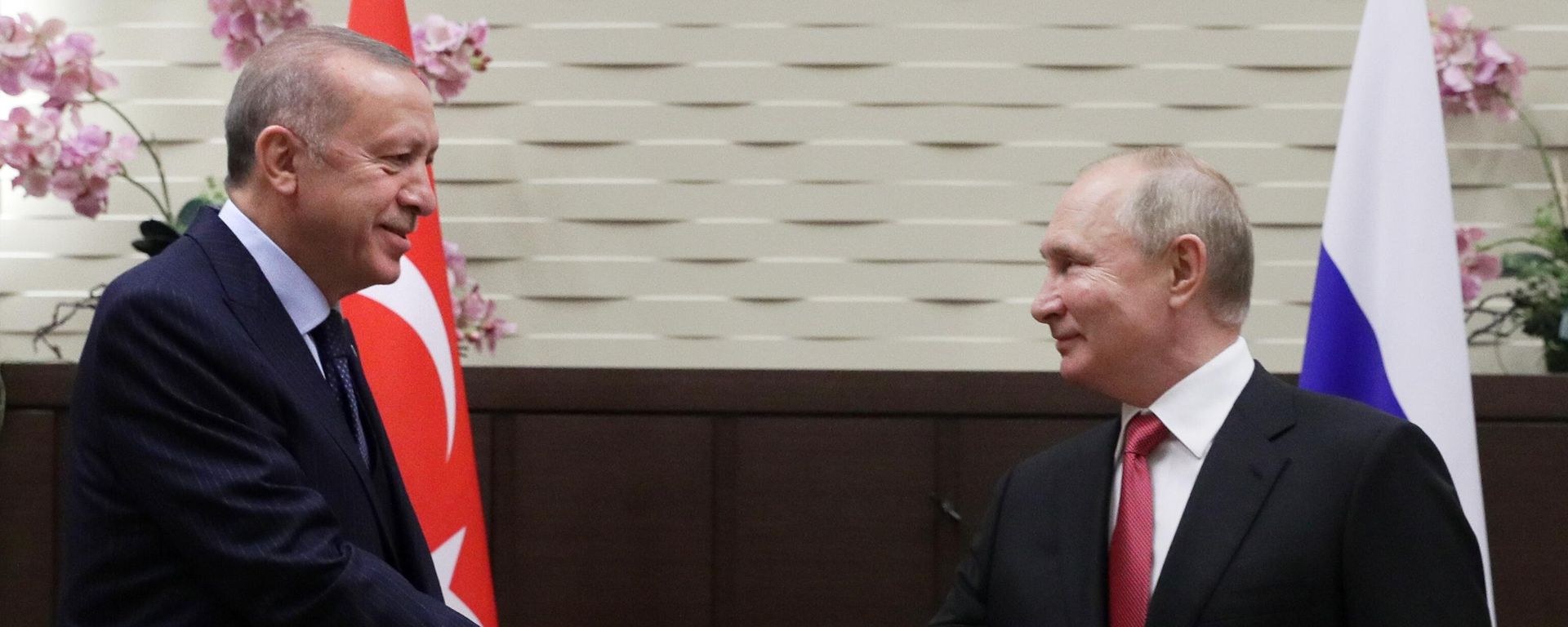 Russian President V. Putin after talks with Turkish President Recep Tayyip Erdogan Russian President V. Putin after talks with Turkish President Recep Tayyip Erdogan - Sputnik International, 1920, 04.10.2024